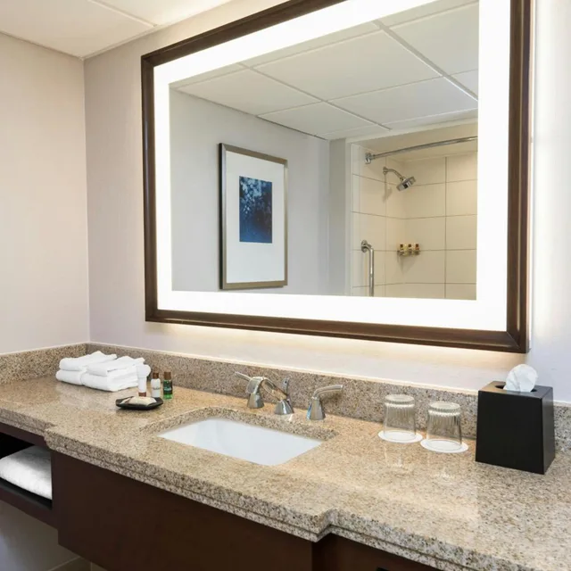 غرفة تقليدية بسريرين مزدوجين بحوض استحمام لذوي الإعاقة، Memphis Riverline Hotel 3/4