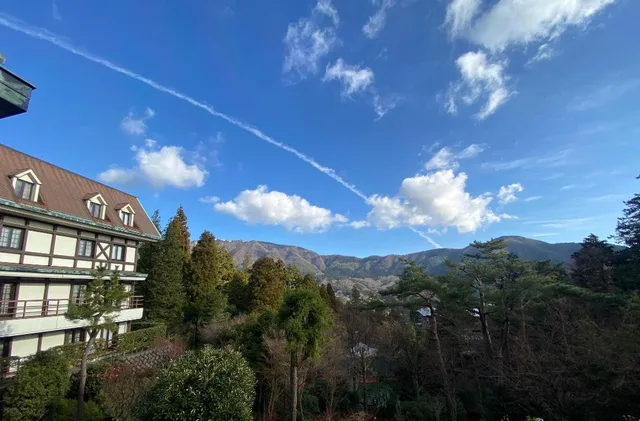 غرفة سوبيريور بسريرين منفصلين بإطلالة على الجبل، Marroad Hakone 1/1