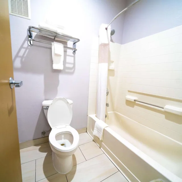 غرفة بسرير كينج يُسمح فيها بالحيوانات الأليفة، Best Western Brigham City Inn & Suites 3/5