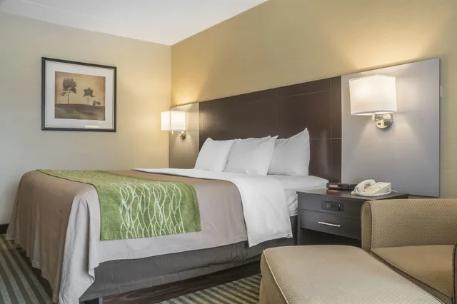غرفة قياسية بسرير كينج في الطابق الأرضي، Comfort Inn Chatham 7/10