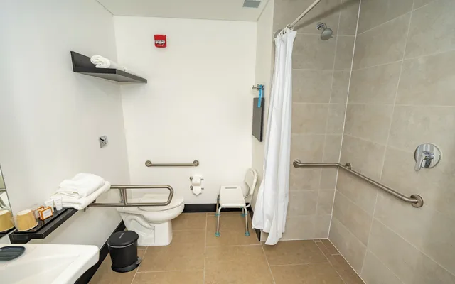 Business, Queen Bed, Accessible, Hampton by Hilton Santiago Las Condes 9/9