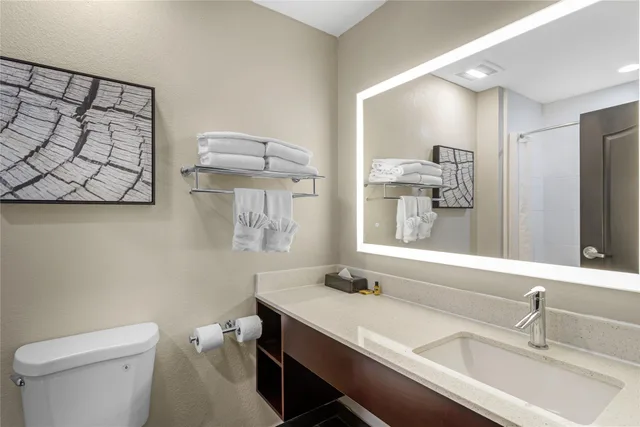 جناح بسرير كينج مع أريكة، Best Western Plus Bay City Inn & Suites 3/5