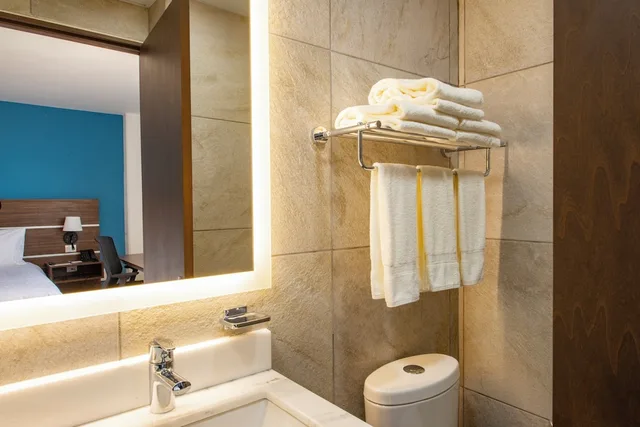غرفة قياسية بسرير كينج بإطلالة على المدينة، Holiday Inn Express Merida Centro 8/8