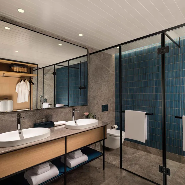 جناح رئاسي، Pullman Chennai Anna Salai 5/5