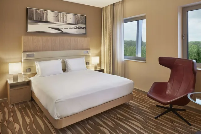 جناح ديلوكس بسرير كينج بمنطقة جلوس، Hilton Frankfurt Airport 3/6