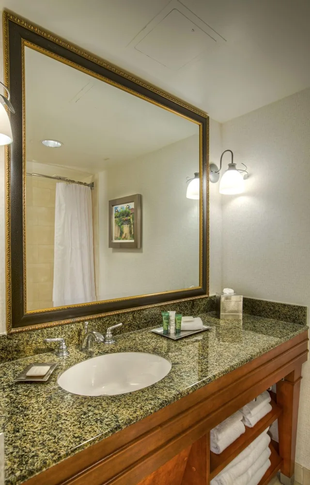 1 Bedroom, Suite, Doubletree by Hilton Raleigh Durham Airport at Research Triangle Park 3/3
