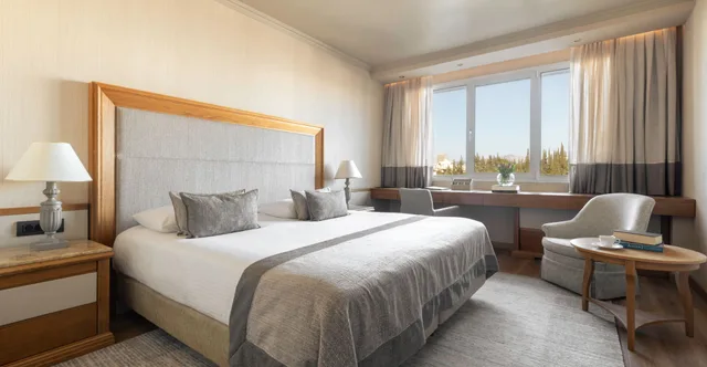 غرفة سوبيريور مفردة، Divani Caravel Hotel 3/6