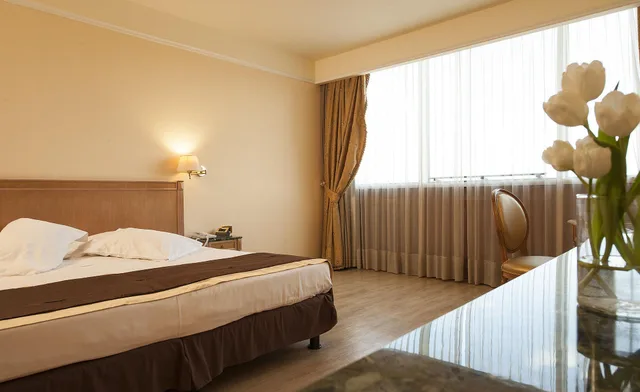 غرفة ديلوكس بسرير مزدوج، Shg Hotel De La Ville Vicenza 5/9