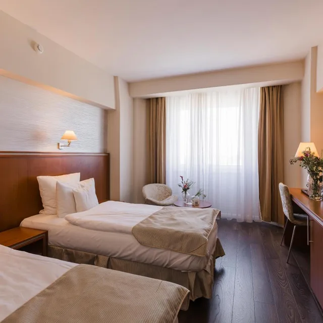 غرفة بزنس بسرير مزدوج أو سريرين منفصلين، Hotel Timisoara 1/10