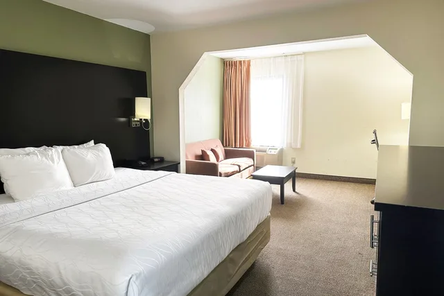 جناح بسرير كينج، OYO Hotel Rome West GA 1/7