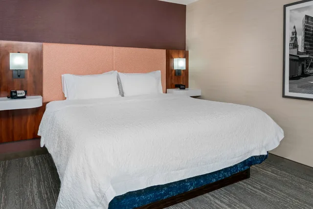 غرفة بسرير كينج، Hampton Inn Springfield South Enfield 1/5