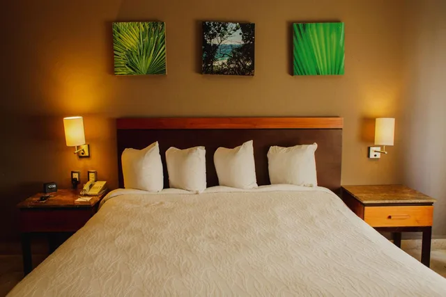 جناح سوبيريور بسرير كينج بشرفة بغرفة نوم واحدة، Hilton Garden Inn Boca Del Rio Veracruz 6/6