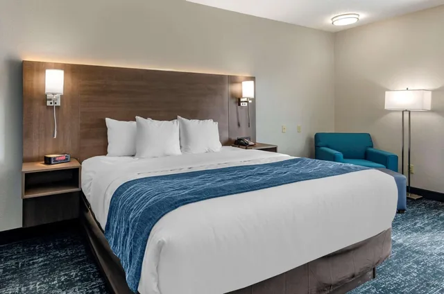 غرفة بسرير كينج يُسمح فيها بالحيوانات الأليفة، Comfort Inn & Suites Troutville-Roanoke North 4/9