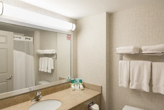 غرفة قياسية بسرير كينج لذوي الإعاقة، Holiday Inn Express Hotel And Suites Brampton 5/6