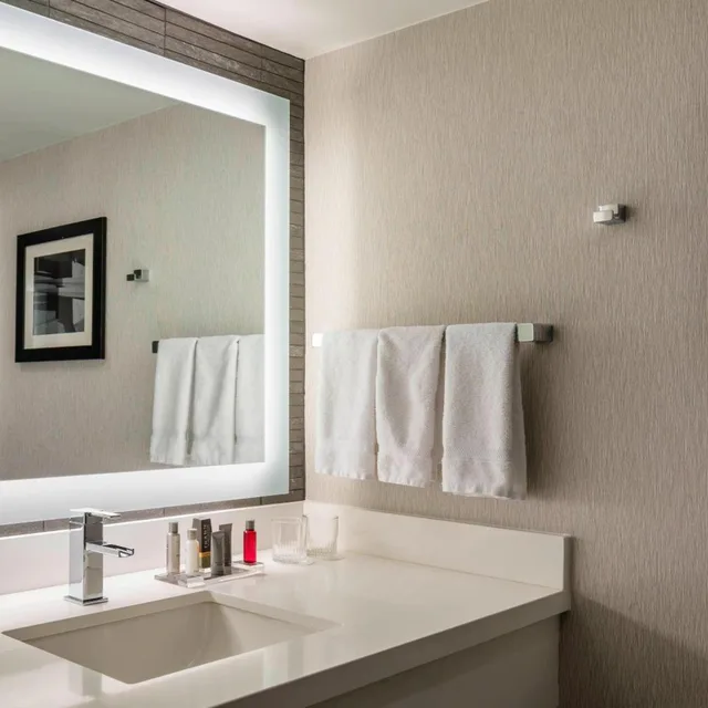 Room, King Bed, Balcony, Accessible, Boston Marriott Newton 8/8