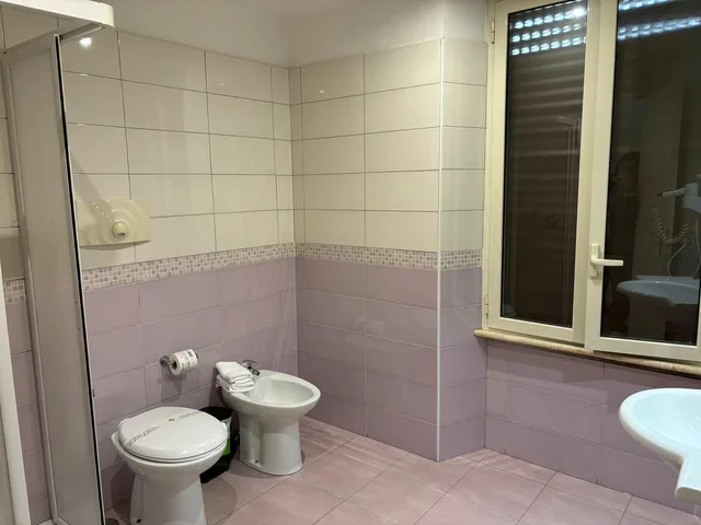 غرفة قياسية بسريرين منفصلين، Osimar Hotel Rome 5/8