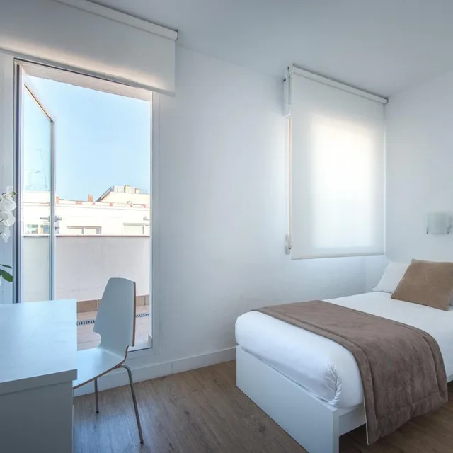 Superior, Single, Terrace, NeoMagna Madrid 3/20