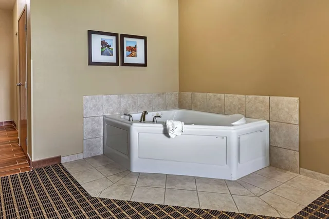 جناح بسرير كينج مع أريكة بحوض جاكوزي، Comfort Suites Delavan Lake Geneva Area 3/3