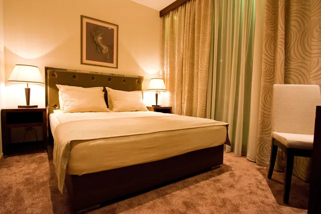 غرفة فاخرة بسريرين منفصلين، Vitosha Park Hotel 1/9