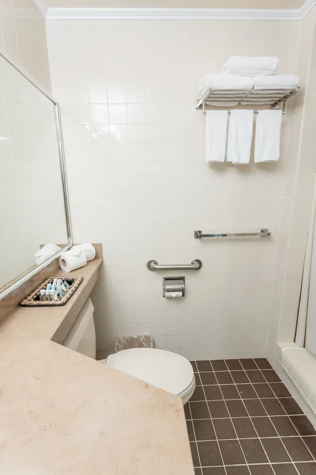 غرفة قياسية ثلاثية بسريرين مزدوجين، Plaza San Martin Hotel 8/8