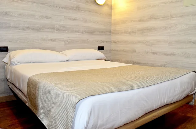 غرفة قياسية بسرير مزدوج، Cal Ruiz Hotel 2/10