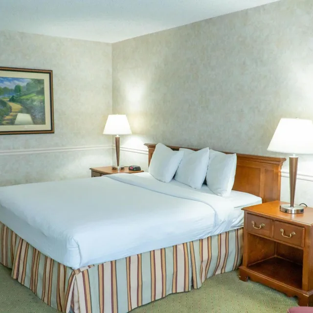 غرفة بسرير كينج، Hotel Piccadilly 2/4