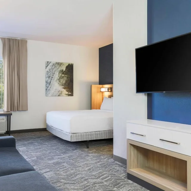 جناح بسرير كينج مع سرير سحّاب إضافي مع أريكة في طابق مرتفع، SpringHill Suites by Marriott Truckee Lake Tahoe 2/6