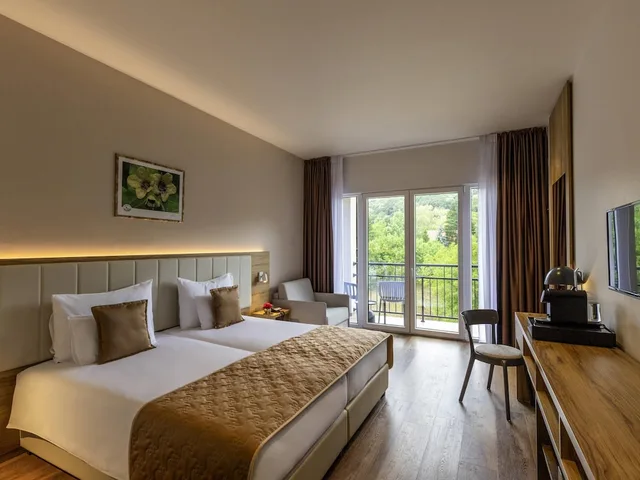 Superior, Double Bed, Balcony, Movenpick Resort and Spa Fruske Terme 5/10