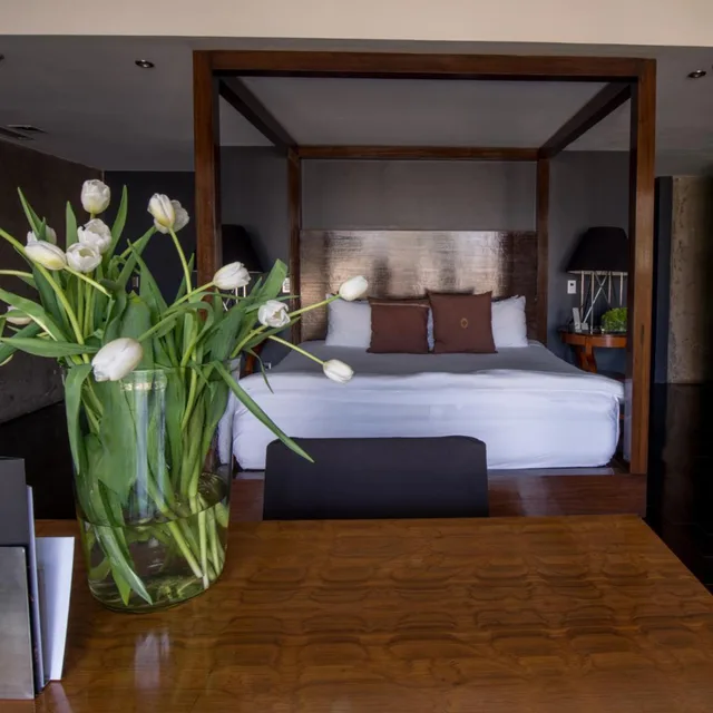 Master, Suite، Demetria Hotel 1/4