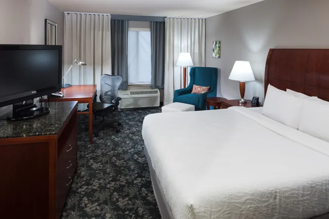 Evolution, King Bed، Hilton Garden Inn Austin North 2/8
