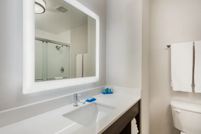 غرفة قياسية بسرير كينج لذوي الإعاقة، HOLIDAY INN EXPRESS WARRENTON 2/3