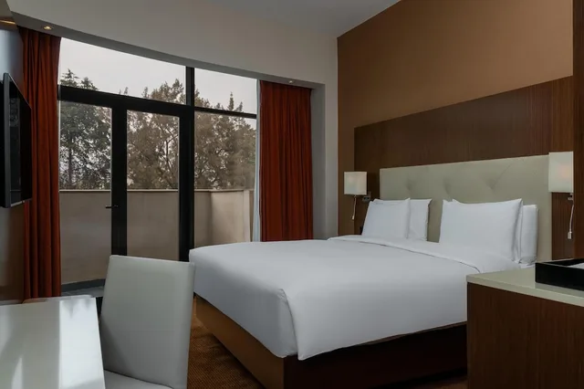 جناح بسرير كينج بغرفة نوم واحدة مع دخول الصالة، Radisson Blu Hotel, Addis Ababa 8/10