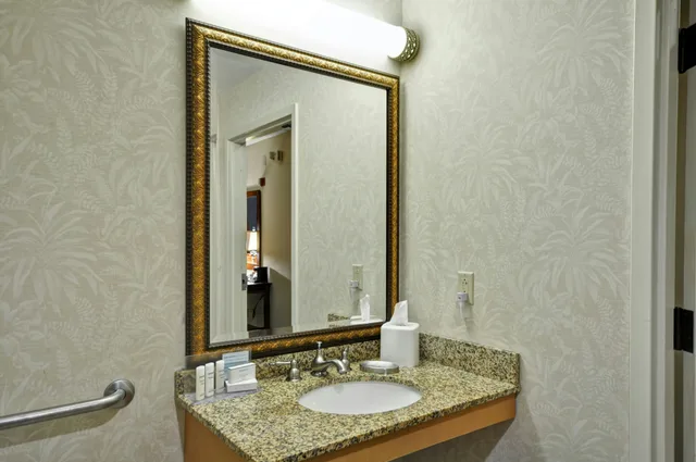 غرفة بسريرين كوين لذوي الإعاقة، Hampton Inn Suites Charleston 5/6