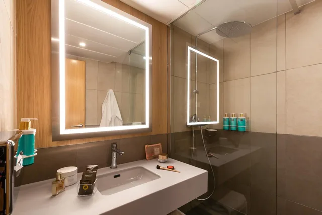 غرفة كلاسيكية بسريرين منفصلين، Novotel Nancy 7/7