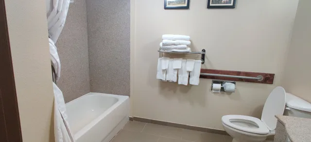 غرفة قياسية بسرير كينج، Comfort Inn & Suites Midway - Tallahassee West 10/10