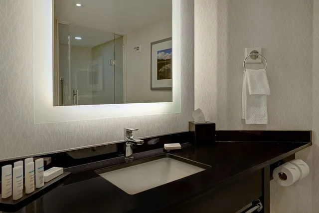 Room, King Bed, Partial Falls View, Sofa، Embassy Suites By Hilton Niagara Falls Fallsview 5/5