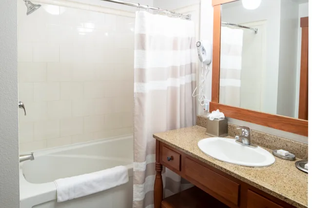 Condominium, Studio، The Village Lodge 4/4