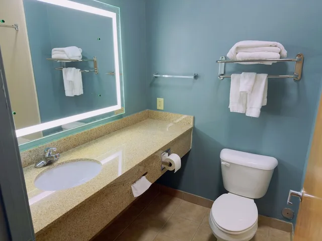 غرفة قياسية بسرير كينج لذوي الإعاقة، Best Western Plus Glen Allen Inn 6/8