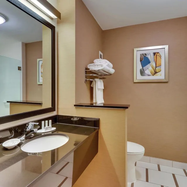 Room, Queen Bed, Fairfield Inn Suites Dunn I 95 7/8