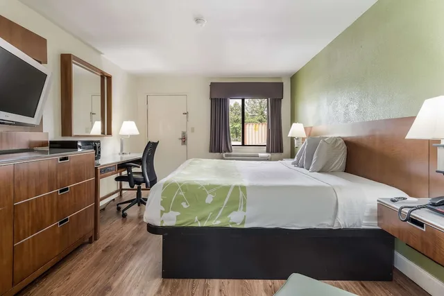 غرفة قياسية بسرير كينج لذوي الإعاقة، Econo Lodge Atlanta Airport East 2/3
