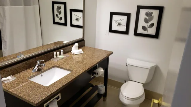 استوديو بسرير كينج مع أريكة، Country Inn & Suites by Radisson, Bradenton-Lakewood Ranch, FL 9/9