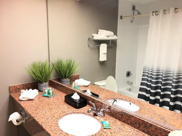 Mini, Suite, Double Bed, Capital Plaza Hotel 6/6