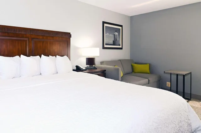 جناح بسرير كينج بغرفة نوم واحدة مع أريكة، Hampton Inn Lexington Park 1/4