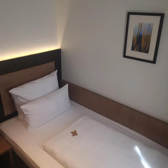 غرفة قياسية مفردة، Astor And Aparthotel 1/14