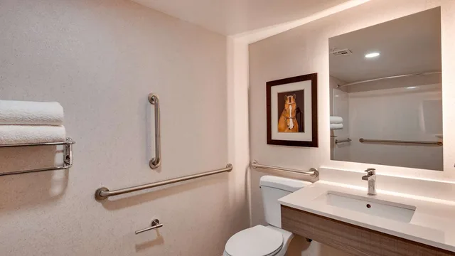 غرفة بسرير كينج بحوض استحمام لذوي الإعاقة، Aiden by Best Western Scottsdale North 5/5