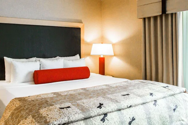 جناح بسرير كينج لذوي الإعاقة، Cambria Hotel Rapid City near Mount Rushmore 6/7