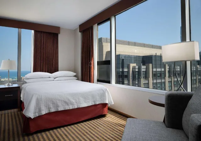غرفة بسرير كوين بإطلالة على البحيرة بغرفة نوم واحدة لذوي الإعاقة، Homewood Suites By Hilton Chicago Downtown/Magnificent Mile 1/2