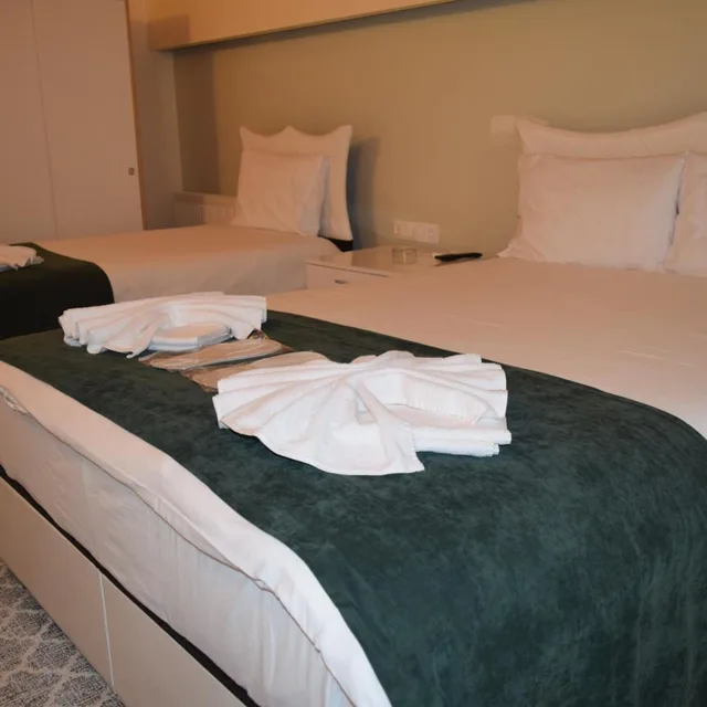 بنغل عائلي، Mars Otel Artvin 2/6