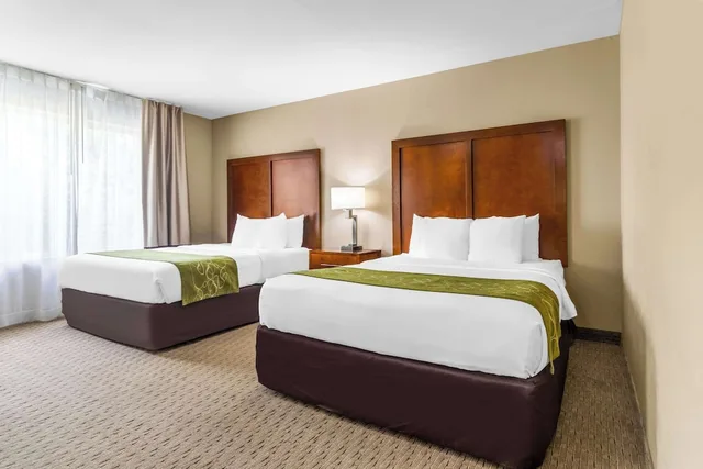 Suite, 2 Queen Beds, Sofa, Accessible, Comfort Suites Mount Vernon 1/3