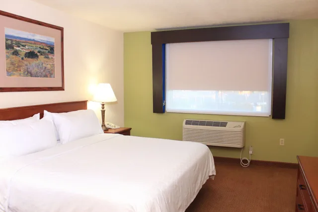 جناح بسرير كينج بغرفة نوم واحدة، Holiday Inn Express Hotel And Suites Farmington Bloomfield 1/7